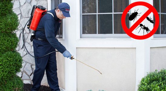 Arpaçay Kene İlaçlama böcek ilaçlama ve haşere kontrolü — ilaclama-tr.com